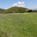 Paysage au dessus de Digne les bains