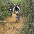 VTT1