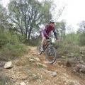 VTT2