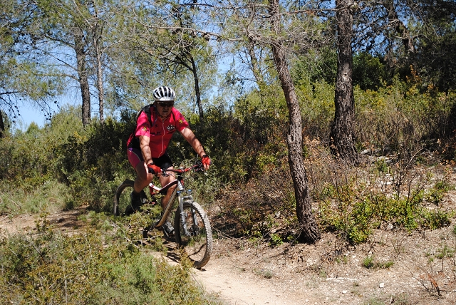 VTT12_Br_172