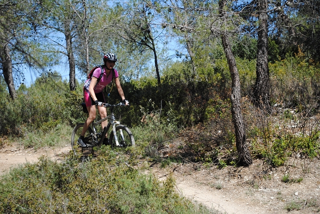 VTT12_Br_196