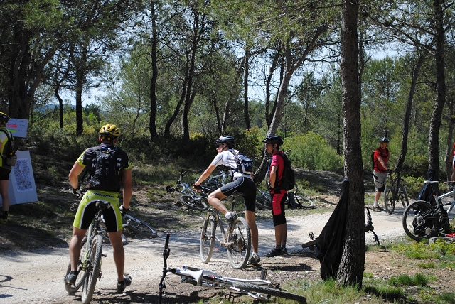 VTT12_Br_202