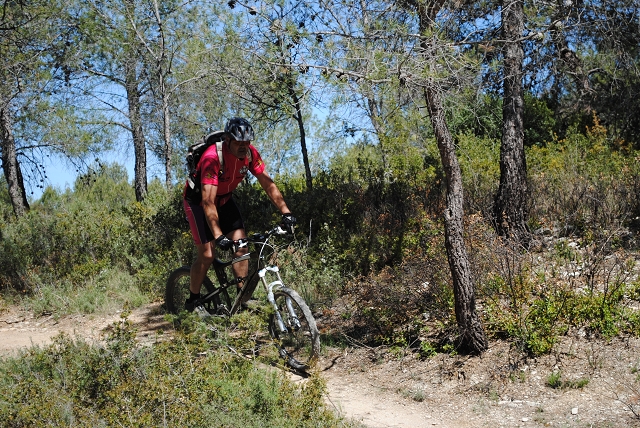 VTT12_Br_203